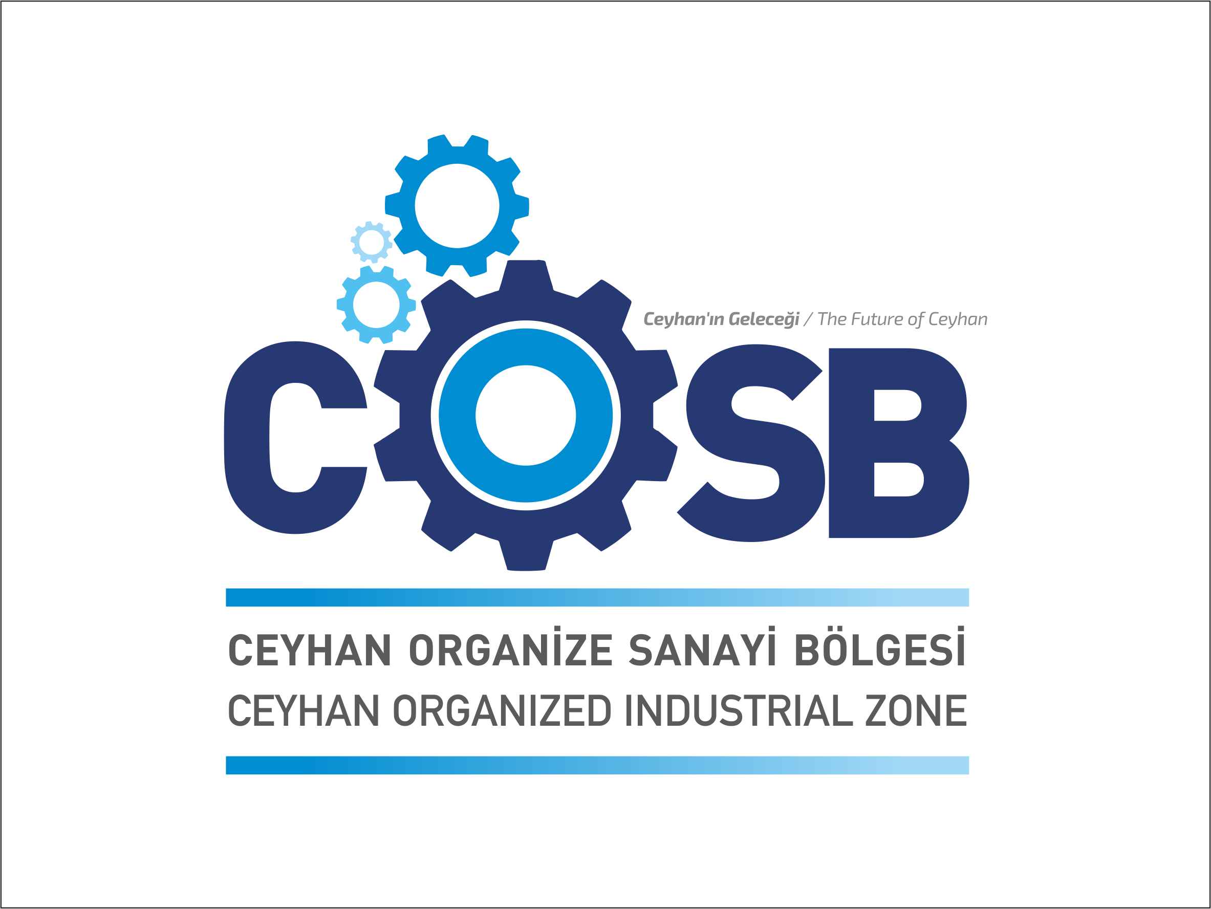 Ceyhan Organize Sanayi Bölgesi Hafriyat ve Ham Yol Yapımı İhalesi